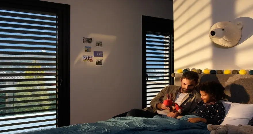 Somfy elektrische zonwering Veldman Screens