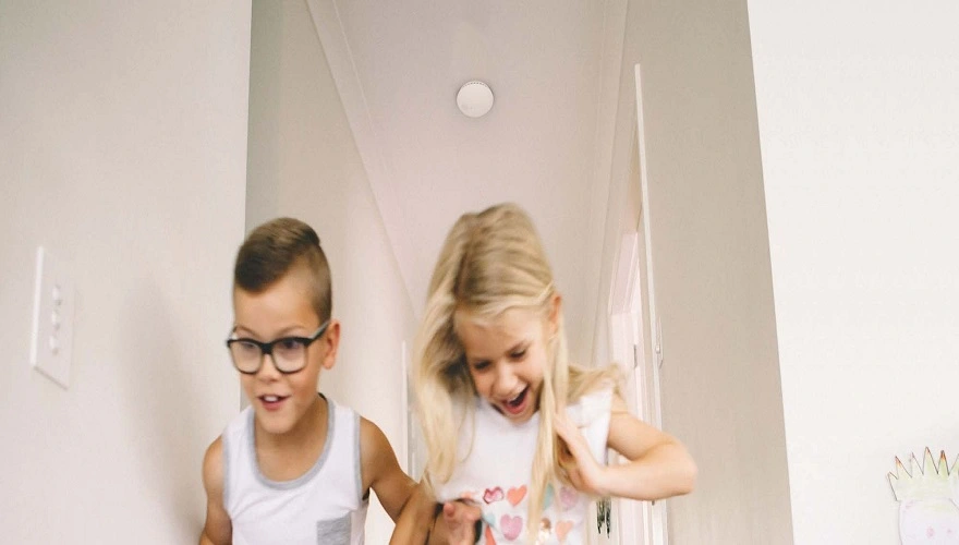 Somfy sensoren rookmelder Veldman Screens